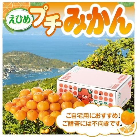 愛媛県産 プチみかん 3kg（３６～５０個入）ミカン 柑橘 3キロ 自宅用 家庭用 お取り寄せ 送料無料