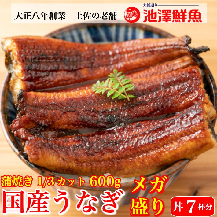 国産 蒲焼き 特大うなぎ メガ盛り 3カット 600gセット 6〜8人前