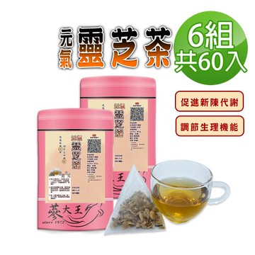 【蔘大王】元氣靈芝茶包X6組（2gX10入/組）苦澀口感 樂齡銀髮族 活力自在 無茶鹼立體茶包
