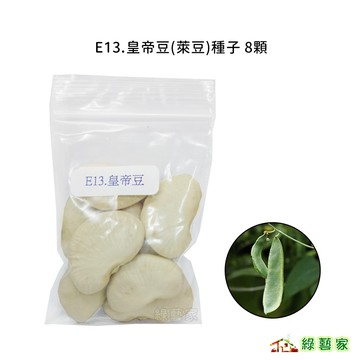 E13.皇帝豆(萊豆)種子8顆(萊豆.早產.種皮白色.產量高)豆類種子【綠藝家】