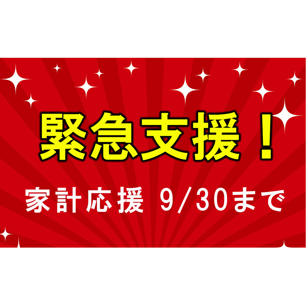 宮崎牛 肩ロース スライス 300g×2 合計600g 数量限定 宮崎県産 冷凍 家計応援 内閣総理大臣賞受賞 国産 牛肉 送料無料 黒毛和牛 薄切り うす切り すき焼き ミヤチク 牛丼 炒め物 しゃ