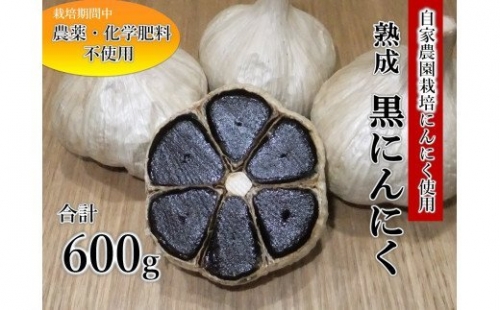 黒にんにく(200g×3袋)《国産・自家農園栽培・農薬不使用・化学肥料不使用》 [甲斐自然派農園 宮崎県 日向市 452060130]  黒ニンニク にんにく ニンニク  自家製 熟成 日向市産