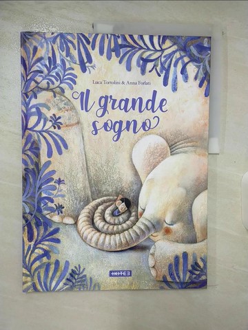 【書寶二手書T3／少年童書_UPV】GRANDE SOGNO