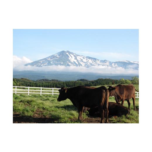 ふるさと納税 秋田県 にかほ市 秋田由利牛 しゃぶしゃぶ用 モモ肉 1.2kg（400g×3パック）