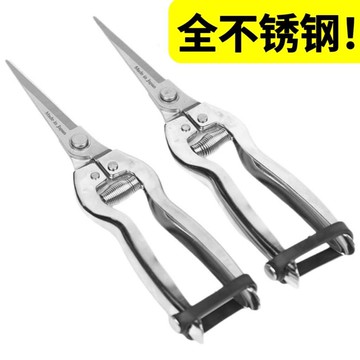 💥在臺24H💥日本進口花枝剪摘果剪疏果剪埰果稀果剪葡萄剪枸杞疏花剪刀修枝剪 8GWT