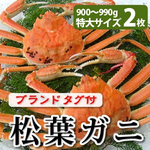 松葉がに900g以上（特大サイズ）×2枚 日本海産 未冷凍 お歳暮ギフト 送料無料（北海道・沖縄を除く）