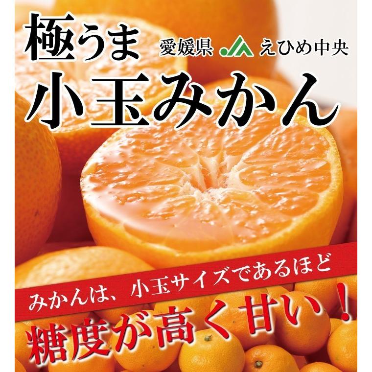 お歳暮 みかん 極旨小玉みかん 赤秀 S〜3Sサイズ 1.5kg みきゃん箱入り JAえひめ中央 中島産 ミカン 蜜柑 ギフト