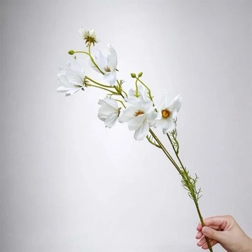 初戀少女白色波斯菊仿真花花材(3入組)