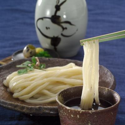 ふるさと納税 宇多津町 半生うどん一膳うどん・並切麺120g×10袋