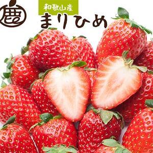 ふるさと納税 ＜1月より発送＞朝摘み完熟まりひめ約600g(300g前後×2P)【配送不可地域：離島・北海道・沖.. 和歌山県日高町