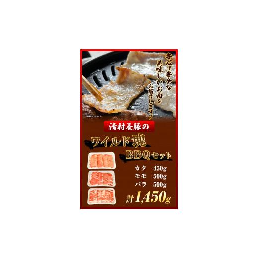 ふるさと納税 熊本県 御船町 ワイルド塊BBQセット 計1450g 清村養豚 《30日以内に順次出荷(土日祝除く)》  熊本県 御船町 豚 肉 冷凍 小分け カタ モモ バラ