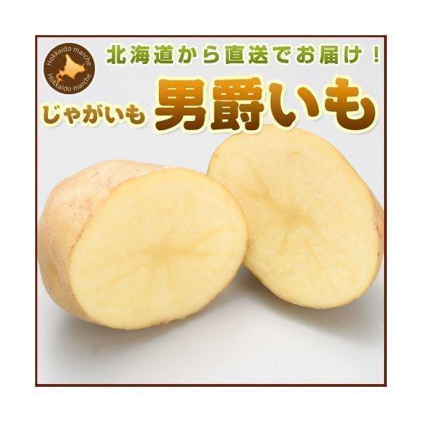 じゃがいも ジャガイモ じゃが玉セットＢ 男爵 LM L 2L 5kg 玉ねぎ 4kg （新じゃがいも） 野菜 北海道産 産直 内祝 北海道ギフト