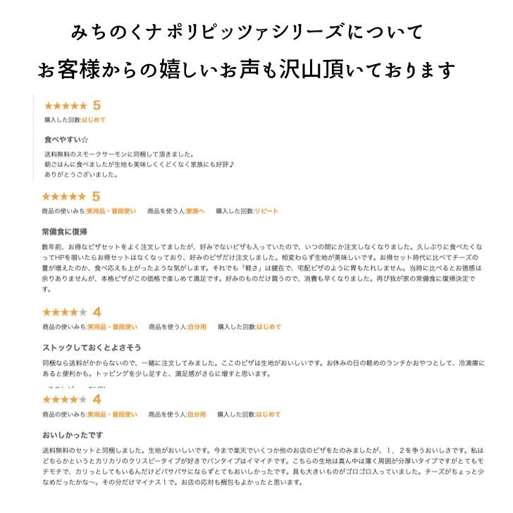 手作り ナポリピザ 10枚セット!! みちのくナポリピッツァ 送料無料 冷凍 ピザ 20cm