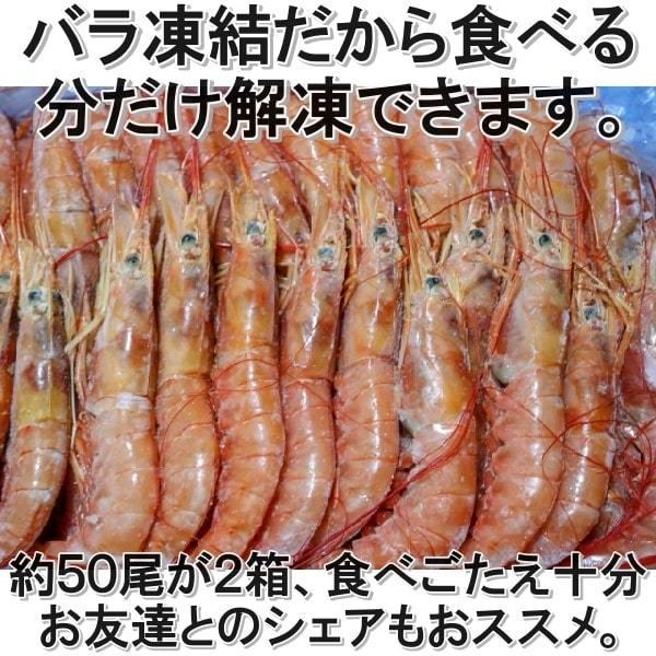 赤エビ ４ｋｇ （２ｋｇ約50尾　２箱） お刺身用 お試しクーポン付き 赤海老 お寿司 どんぶり サラダ ギフト