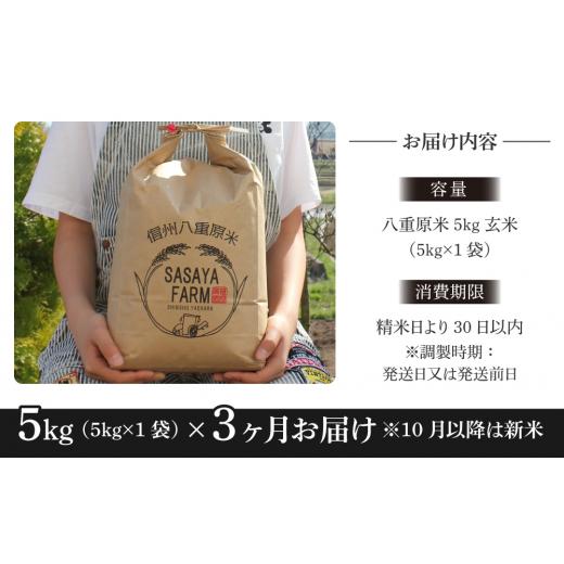 ふるさと納税 長野県 東御市 八重原米5kg（5kg×1袋）玄米