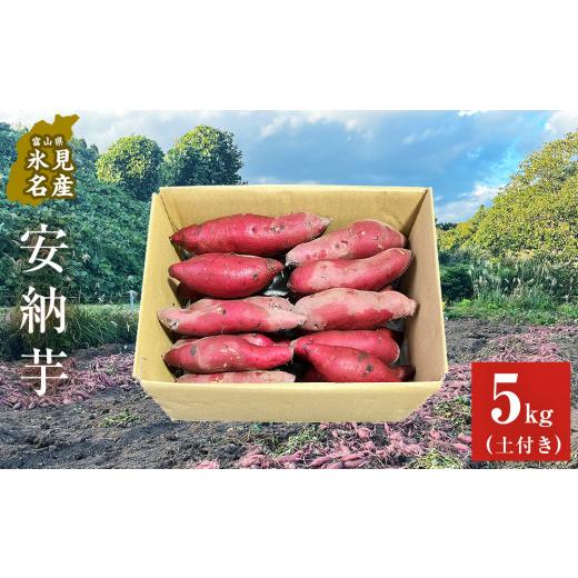 ふるさと納税 富山県 氷見市 ＜安納芋＞富山県産 さつまいも 5kg 富山県 氷見市 サツマイモ 自然豊か 安納芋 ねっとり