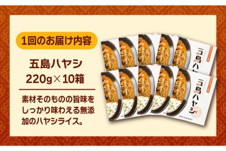 こだわりの五島ハヤシ10箱セット 化学調味料・着色料不使用 創作郷土料理いつき 五島産 牛肉 野菜五島市 出口さんご[PBK021]