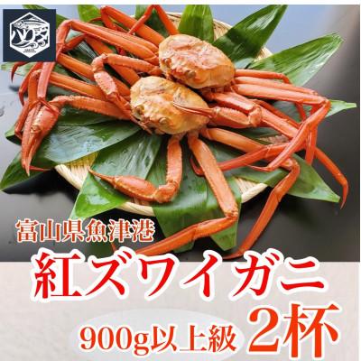 ふるさと納税 魚津市 魚卸問屋のベニズワイガニ900g級以上×2杯