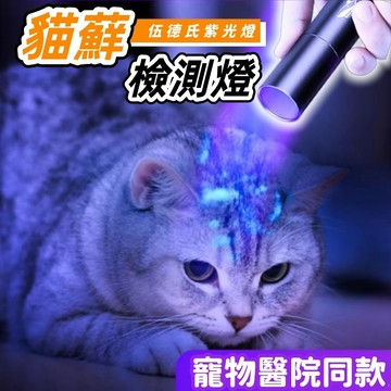 【隔日出貨】 貓癬檢測 猫癬真菌檢 紫光燈  蔬菜螢光劑檢測 鈔票檢測檢測筆 農藥殘留檢測器 UV膠固化燈 美甲固化燈