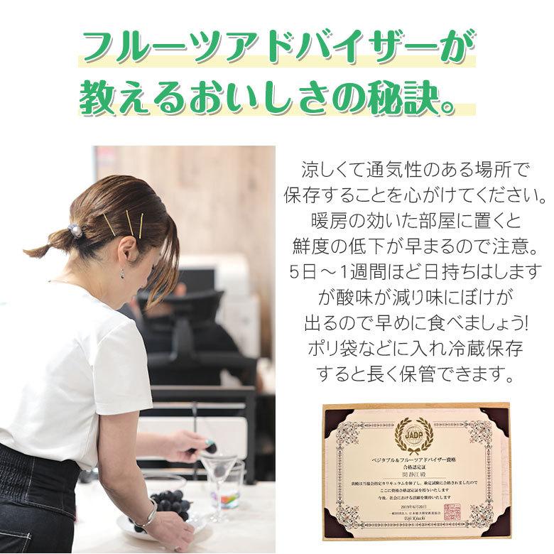 安心の自社検品 送料無料 愛媛県産 あいか 愛果 紅まどんな みかん 愛媛みかん 愛まどんな サイズお任せ 約 5kg 国産みかん ご家庭用 愛媛県