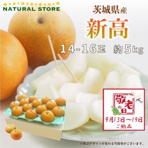 [最短順次発送]   新高 和梨 約5kg 14-16玉 茨城県産 秋ギフト  果実ギフト