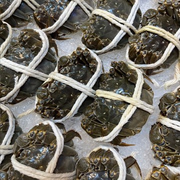 【華得水產】保證活蟹直送嚴 江蘇大閘蟹-公蟹(6隻_6-6.5兩/隻)-11月出貨