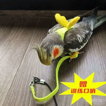 【5030次迴購】鸚鵡放飛繩子超長遛鳥牽引繩超輕背帶式不傷腳虎皮玄風外出飛行繩