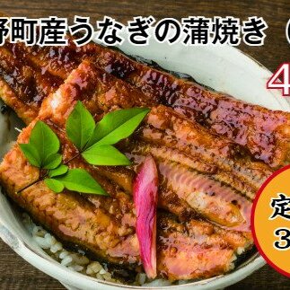 うなぎの蒲焼き(小) 4尾×3回 定期便 3ヶ月 定期コース 1尾あたり90～120g タレ付き 山椒付き うなぎ 鰻 ウナギ 蒲焼き かば焼き 無頭 おいしい 国産 お取り寄せ 冷凍 配送