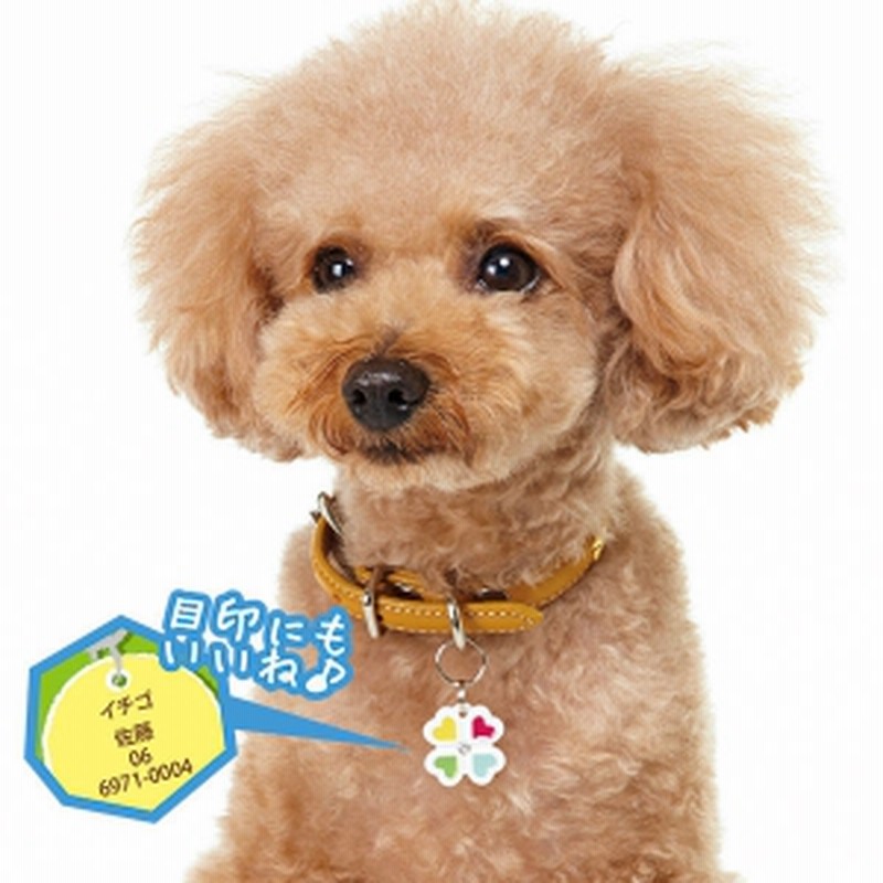 Peppy ペピイ 静電気軽減迷子札 犬 猫 ぶら下げるタイプ よつばグリーン 迷子札 通販 Lineポイント最大get Lineショッピング