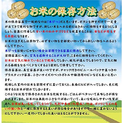 令和５年福島県中通り産コシヒカリ25kg 玄米