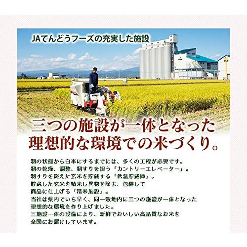  山形県産 つや姫 精米 20kg（5kg×4袋） 令和4年産 rts2004