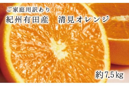 紀州有田産清見オレンジ7.5kg　※2024年3月下旬頃～2024年4月下旬頃に順次発送予定(お届け日指定不可) 