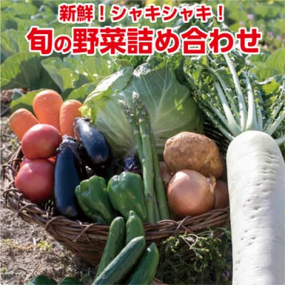 旬の野菜セット　116002