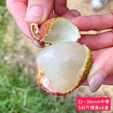 高雄大樹剪枝玉荷包32mm~36mm特級中果禮盒x6盒(5台斤/箱_產地直送)(預購:6/5~6/9開始陸續出貨)