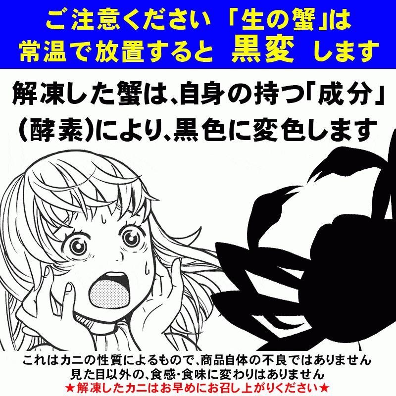 ギフト カニ かに 蟹 刺身 カット ギフト 生ズワイガニ 600g×3箱セット セール 生食OK 総重量2kg以上 正味約1.8kg 送料無料 海鮮 鍋 グルメ