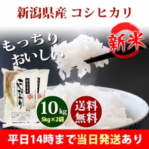 新米 米 10kg 新潟県産 コシヒカリ 5kg×2袋 令和5年産 お米 10kg 送料無料 北海道・沖縄配送不可 即日発送 クーポン対象 10キロ 安い