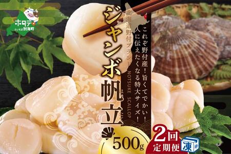 北海道 野付産 漁協直送 冷凍ホタテ 貝柱 ジャンボホタテ500g×2ヶ月（ ほたて ホタテ 帆立 貝柱 玉冷 北海道 野付 人気 ふるさと納税 ）