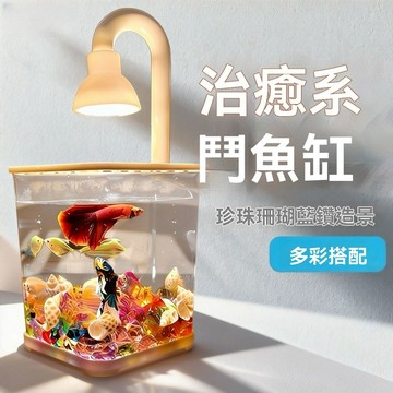 養魚必備🐟️水桶魚缸 有趣的魚缸 水族生態缸 水桶養魚 透明水桶生態缸 水桶變缸製作家用缸 新款透明小魚缸家用冰晶石桌