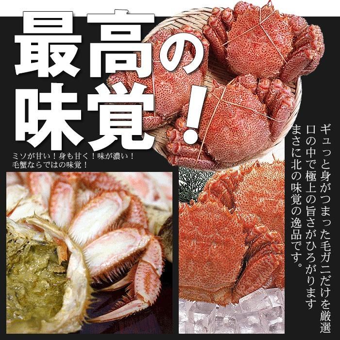 送料無料 北海道 オホーツク産 堅毛ガニ姿（大型サイズ）570g前後×3杯