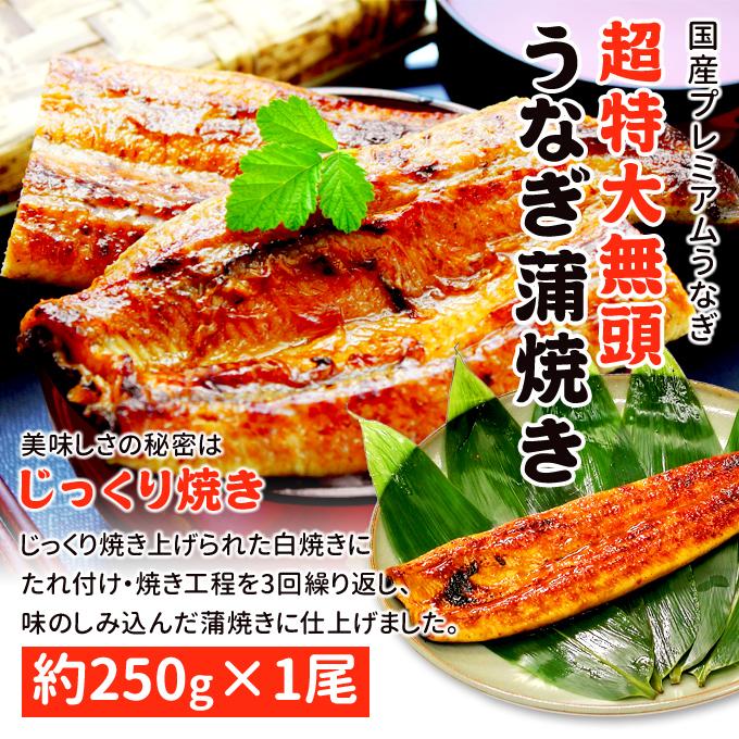 鹿児島産 新 超特大 国産 うなぎ蒲焼き 約250g1尾 送料無料 ギフトボックス付 海鮮 プレゼント グルメ ギフト