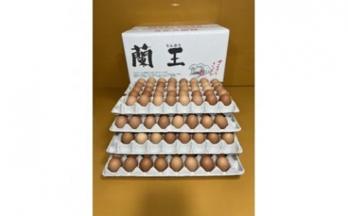 蘭王たまご 160個入り 卵 たまご 玉子 タマゴ 鶏卵 まとめ買い オムレツ 卵かけご飯 朝食 料理 人気 美味しい 