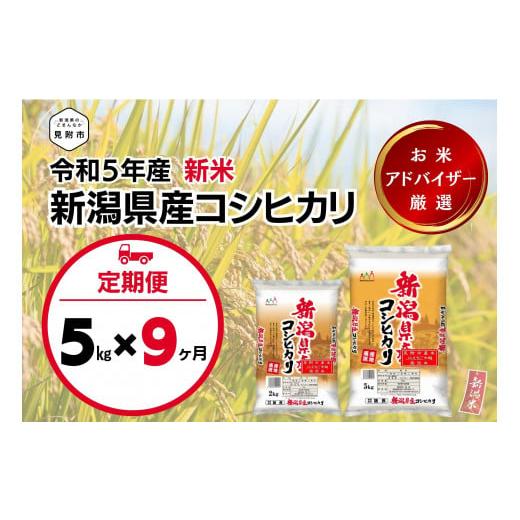 ふるさと納税 新潟県 見附市 令和5年産 新潟県産 コシヒカリ 5kg（精米）