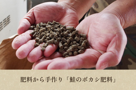 [発芽玄米] 新潟産 発芽玄米2.4kg（600g×4個）新潟米 新潟県産 かやもり農園