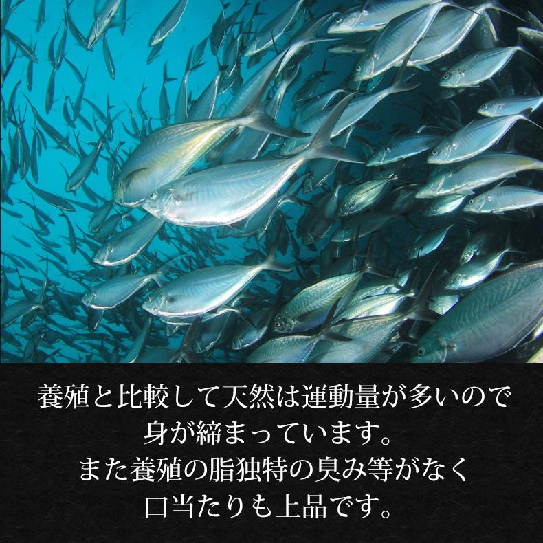 天然本マグロ 中トロ 3種約2人前 各100g×3個 300g ミナミマグロ 本マグロ めばち鮪