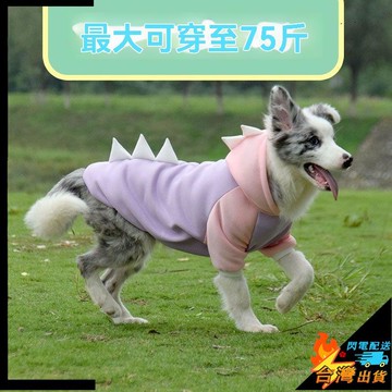 【台灣出貨】寵物附屬 舒適帥氣 秋冬季狗狗  加絨衣服 大中型犬 邊牧 拉布拉多 哈士奇 洋氣恐龍變身