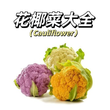 台灣現貨🥦花椰菜大全種子組🔥 白/黃/紫/寶塔/青花菜種子 陽台盆栽可種 四季可播種 高產綠植蔬菜種籽 新手易種