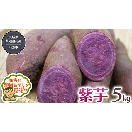 ふるさと納税 紫芋 5kg （県内共通返礼品：行方市産） さつまいも 紫芋 芋 いも 野菜 茨城県つくばみらい市