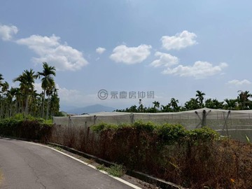 內埔老街義大醫院【瓜瓜】開心農場｜屏東縣內埔鄉新埔段