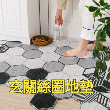 絲圈地墊 玄關絲圈地墊 法式絲圈地墊 大門地墊 刮泥地墊 玄關地墊  防滑地墊 大尺寸地墊