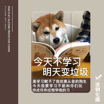 趣味學習狗2021/20/19新款ipad適用air4/3/2旋轉保護套10.2/9.7寸平板2018帶筆槽pro11三折mini4/5蘋果123殼6